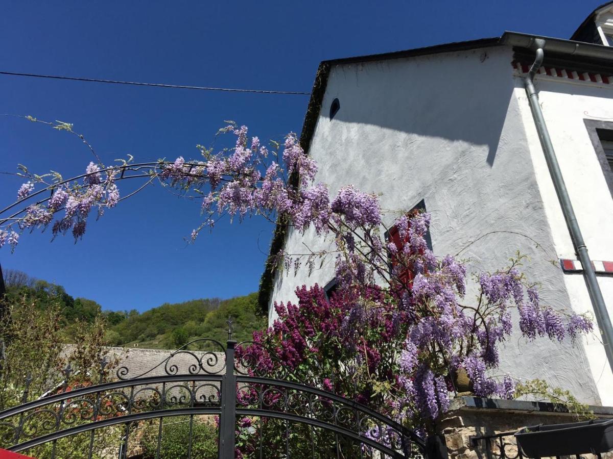 Alter Winzerhof Villa Hatzenport Kültér fotó